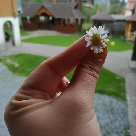 зима-літо Guest house